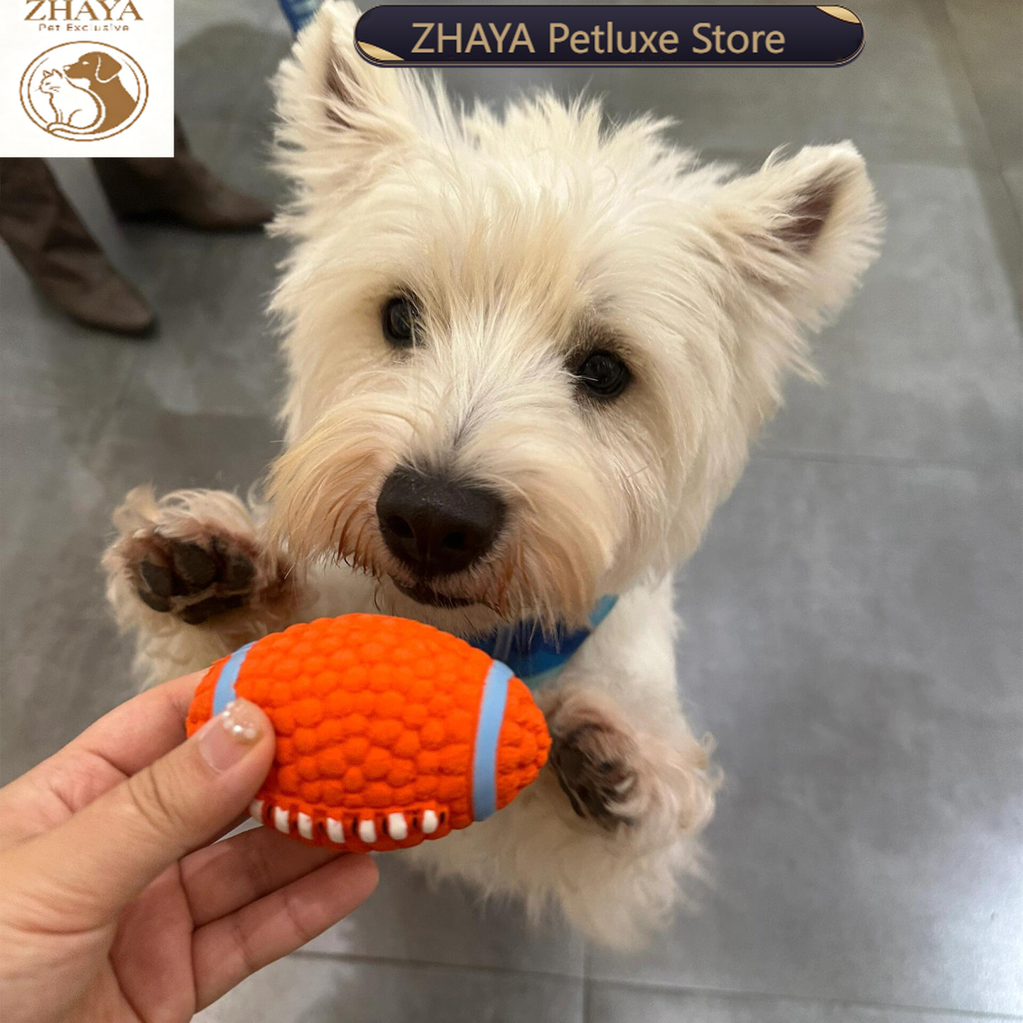 Rugby Training Ball - Bola Interativa ZHAYA para Pets com