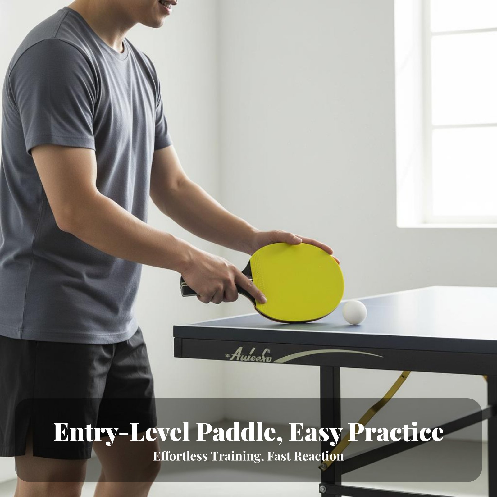 Raquete de Pong para Iniciante - Allsports Equipment avaliação e preço